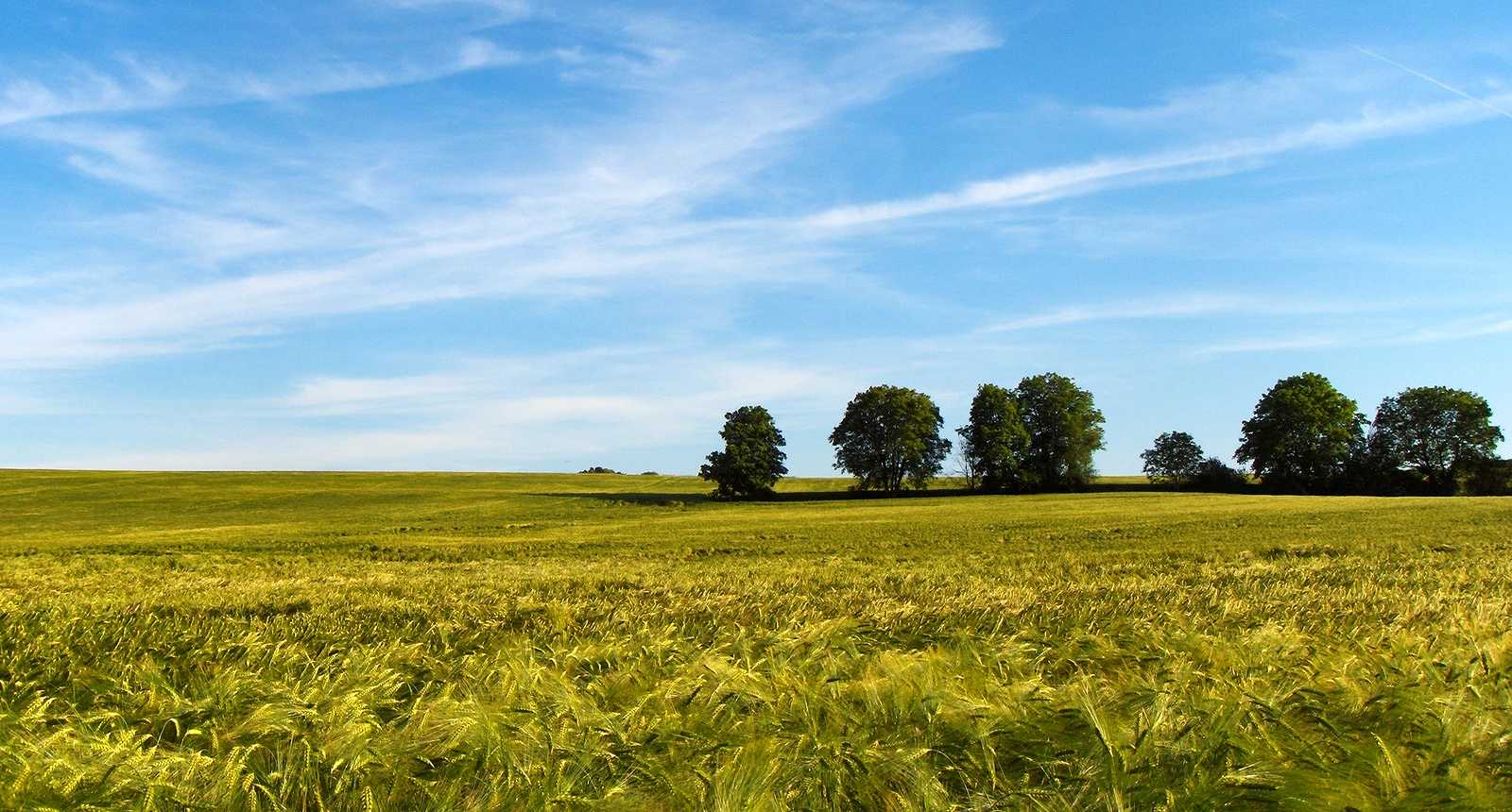 Paysage du Vexin